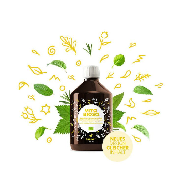 Vita Biosa - Ingwer + Vitamin C, 500ml